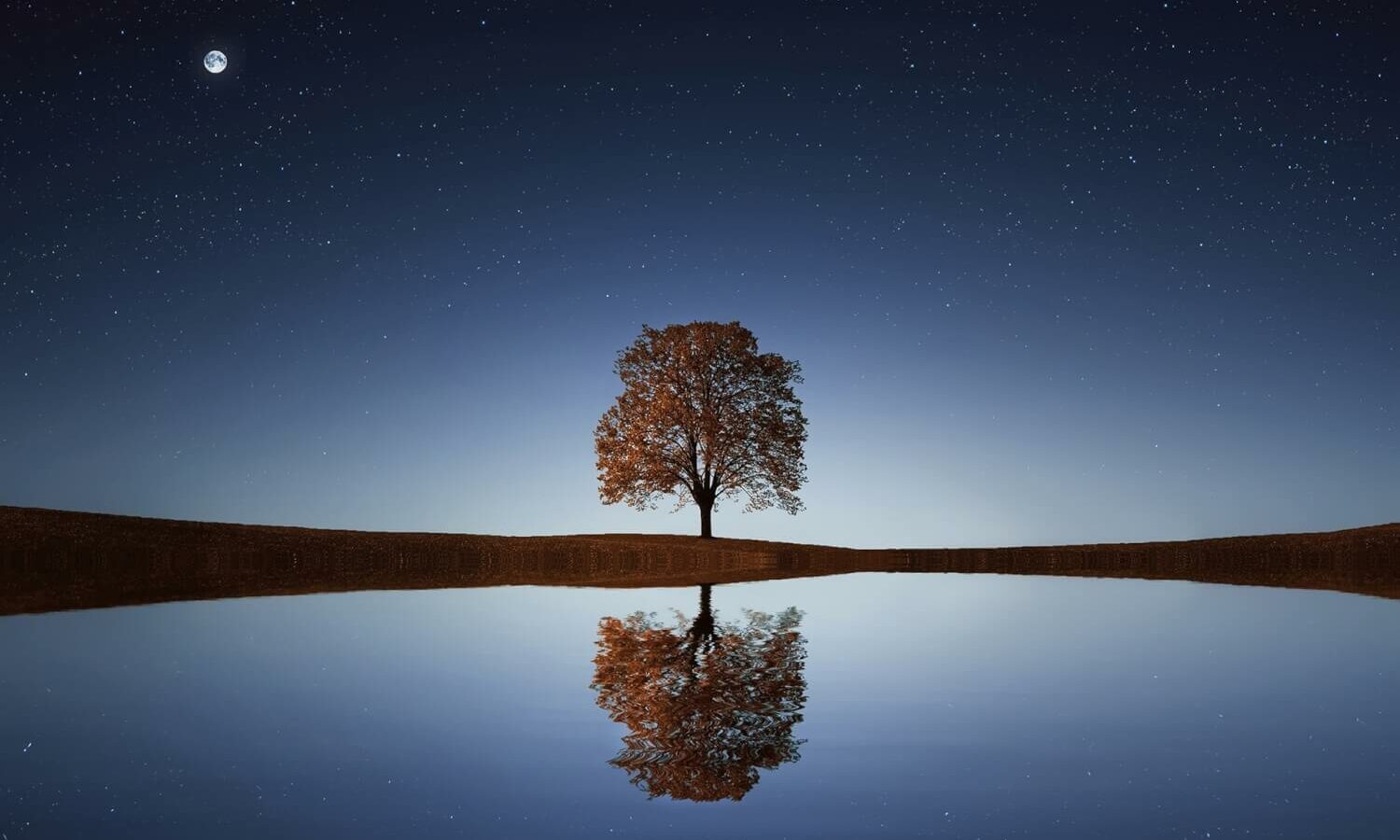 Reflectie, persoonlijke ontwikkeling, leiderschap